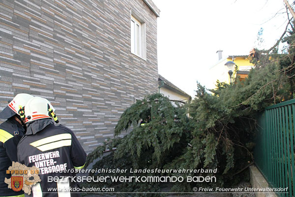 Sturmtief "Felix" FF Unterwaltersdorf