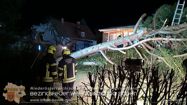 Sturmtief "Felix" in Berndorf