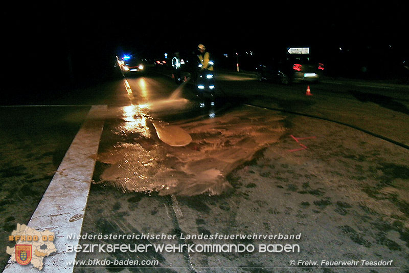 20150225 VU Teesdorf_08