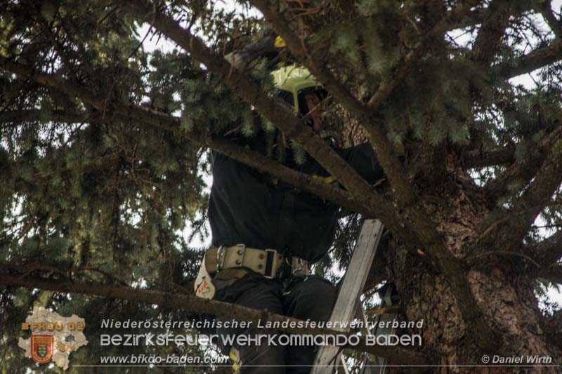 www.ffbv.at - Tierrettung