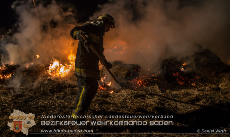 Daniel Wirth, Presseteam BFK Baden 