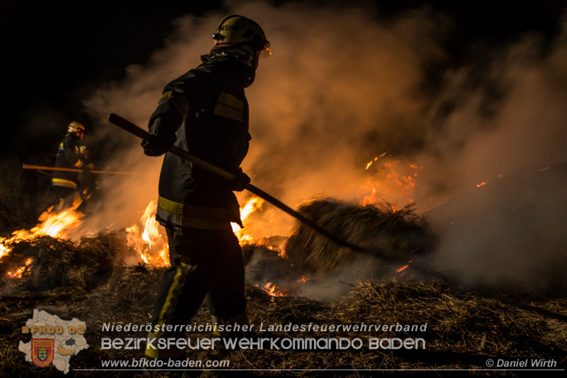 Daniel Wirth, Presseteam BFK Baden 