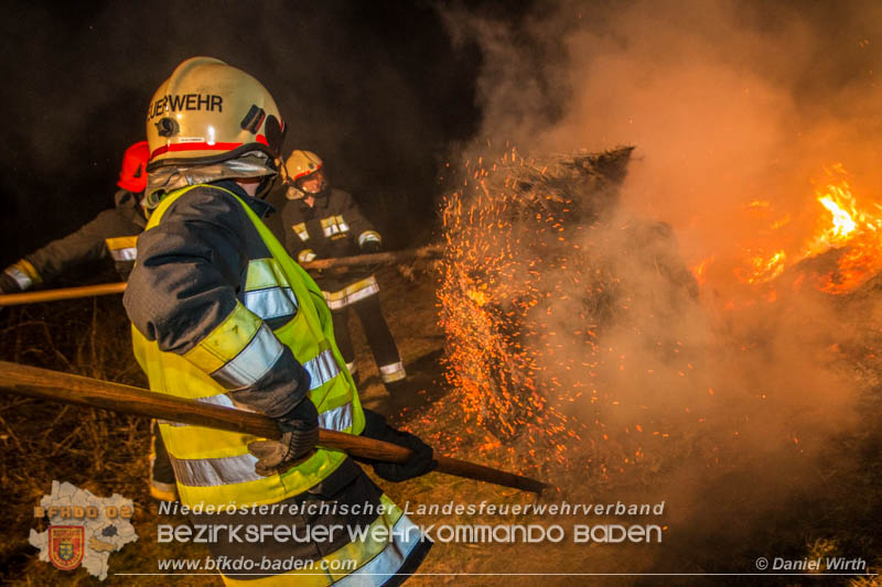 Daniel Wirth, Presseteam BFK Baden 