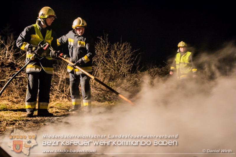 Daniel Wirth, Presseteam BFK Baden 