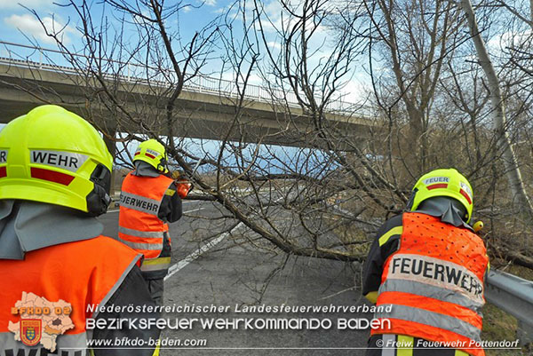 20150331 Strumtief "Niklas" A3 bei Pottendorf_01