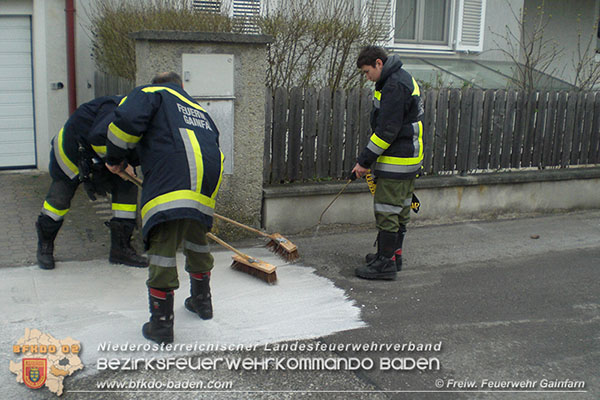 20150403_Schadstoffeinsatz Gainfarn_04