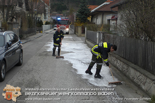 20150403_Schadstoffeinsatz Gainfarn_05