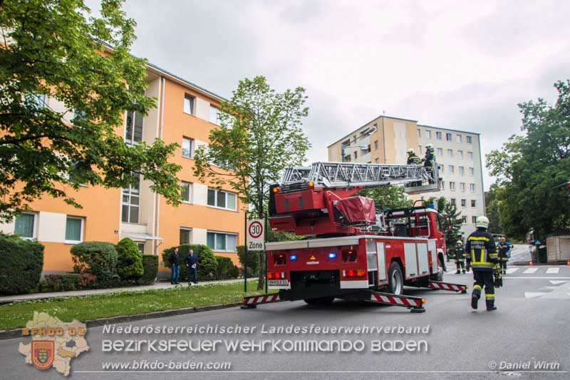 Daniel Wirth - BFK Baden Daniel Wirth - BFK Baden