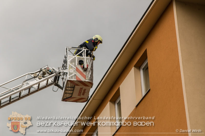 Daniel Wirth - BFK Baden Daniel Wirth - BFK Baden