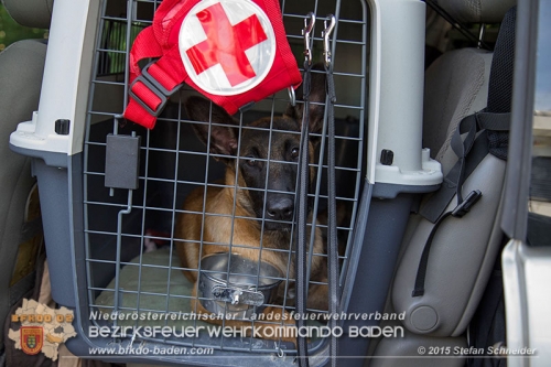 20150704 Personensuche in Traiskirchen   Foto: © Stefan Schneider BFK Baden
