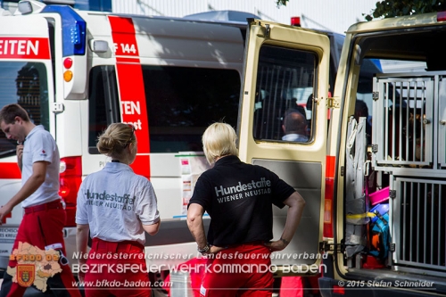 20150704 Personensuche in Traiskirchen   Foto: © Stefan Schneider BFK Baden