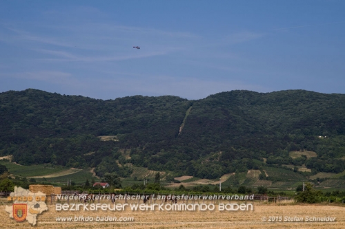 20150704 Personensuche in Traiskirchen   Foto: © Stefan Schneider BFK Baden