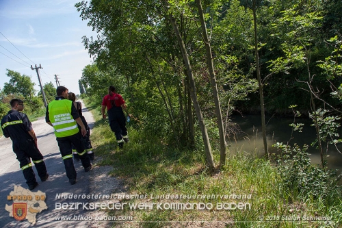 20150704 Personensuche in Traiskirchen   Foto: © Stefan Schneider BFK Baden