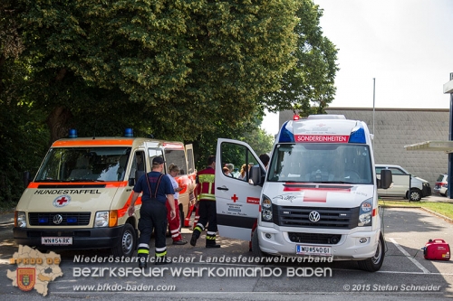 20150704 Personensuche in Traiskirchen   Foto: © Stefan Schneider BFK Baden