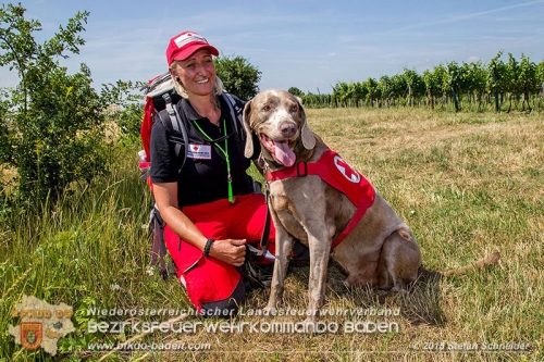 20150704 Personensuche in Traiskirchen Foto: © Stefan Schneider BFK Baden