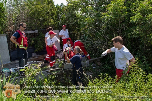 20150704 Personensuche in Traiskirchen Foto: © Stefan Schneider BFK Baden