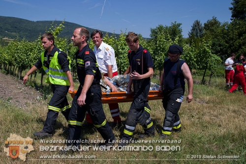 20150704 Personensuche in Traiskirchen Foto: © Stefan Schneider BFK Baden