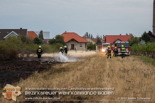 20150725 Flurbrand in Traiskirchen Foto: © Stefan Schneider 20150725 Flurbrand in Traiskirchen Foto: © Stefan Schneider