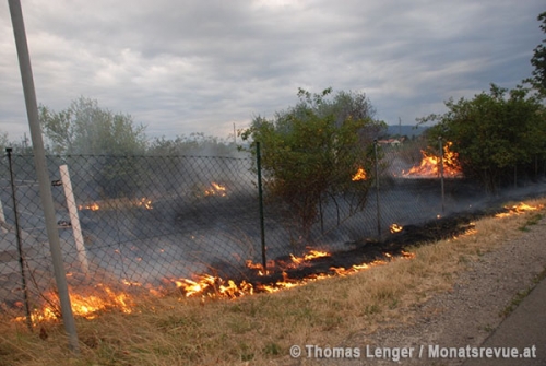 20150725 Flurbrand in Traiskirchen   Foto: © Stefan Schneider