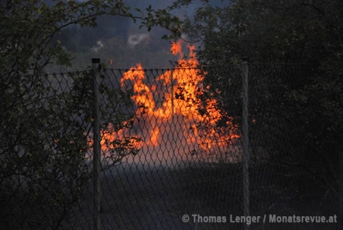 20150725 Flurbrand in Traiskirchen Foto: © Thomas Lenger Monatsrevue.at 20150725 Flurbrand in Traiskirchen Foto: © Thomas Lenger Monatsrevue.at