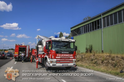 Daniel Wirth, BFK Baden 