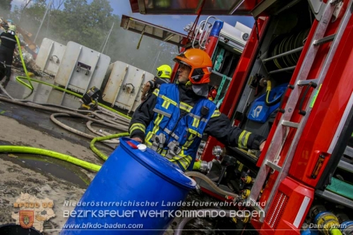 Daniel Wirth, BFK Baden 