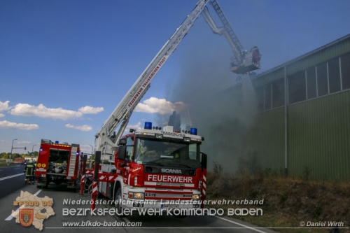 Daniel Wirth, BFK Baden 