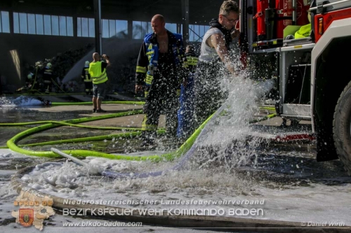 Daniel Wirth, BFK Baden