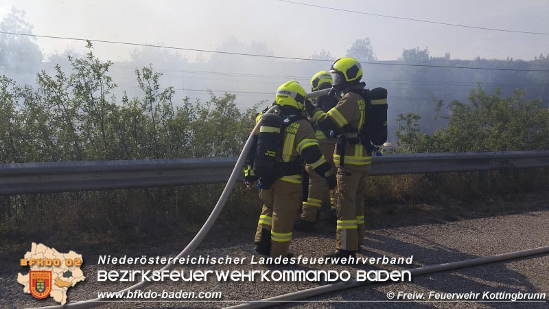 20150809 Flurbraende Kottingbrunn  Foto: © FF Kottingbrunn