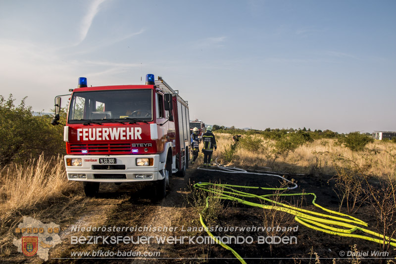 20150809 Flurbraende Kottingbrunn Foto: © Daniel Wirth 20150809 Flurbraende Kottingbrunn Foto: © Daniel Wirth