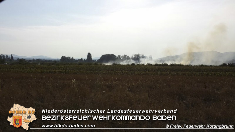 20150809 Flurbraende Kottingbrunn Foto: © FF Kottingbrunn 20150809 Flurbraende Kottingbrunn Foto: © FF Kottingbrunn