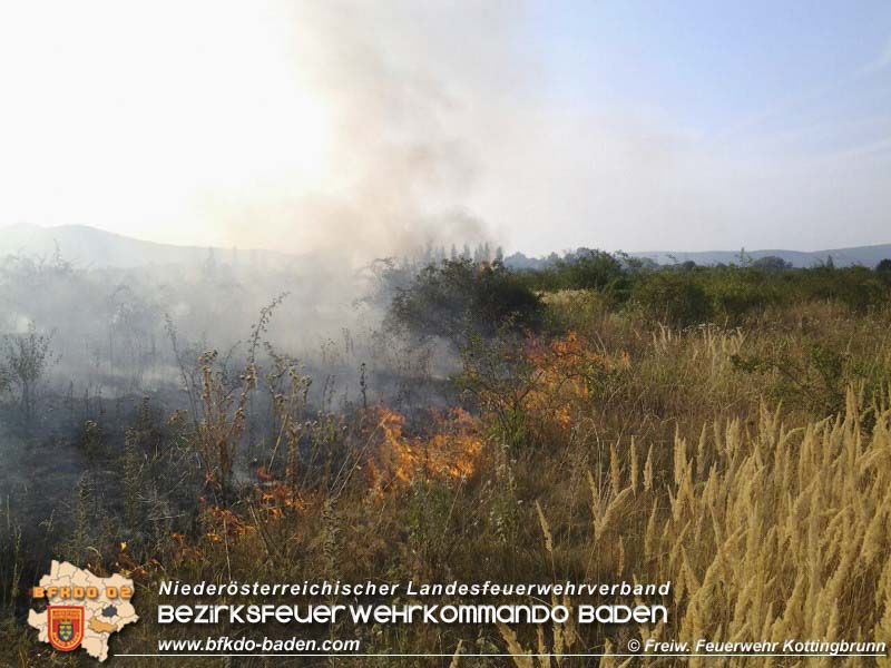 20150809 Flurbraende Kottingbrunn Foto: © FF Kottingbrunn 20150809 Flurbraende Kottingbrunn Foto: © FF Kottingbrunn