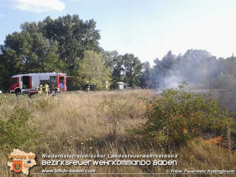 20150809 Flurbraende Kottingbrunn Foto: © FF Kottingbrunn 20150809 Flurbraende Kottingbrunn Foto: © FF Kottingbrunn
