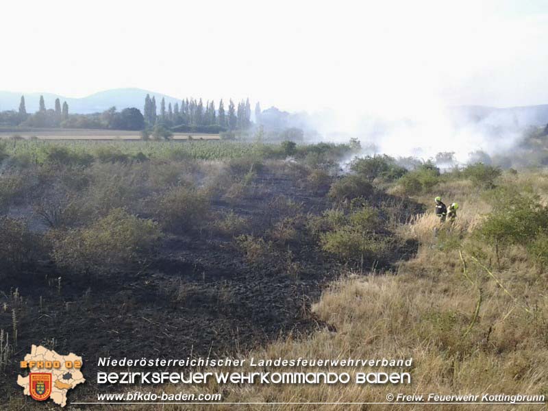 20150809 Flurbraende Kottingbrunn Foto: © FF Kottingbrunn 20150809 Flurbraende Kottingbrunn Foto: © FF Kottingbrunn