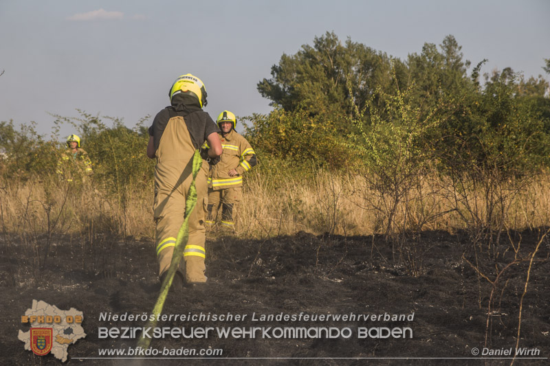 20150809 Flurbraende Kottingbrunn Foto: © Daniel Wirth 20150809 Flurbraende Kottingbrunn Foto: © Daniel Wirth