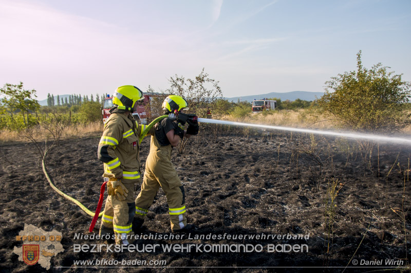 20150809 Flurbraende Kottingbrunn Foto: © Daniel Wirth 20150809 Flurbraende Kottingbrunn Foto: © Daniel Wirth