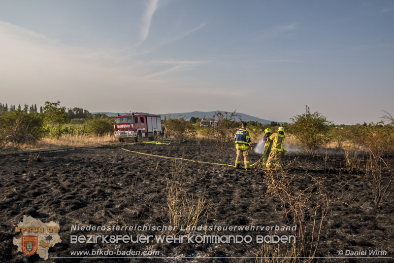 20150809 Flurbraende Kottingbrunn Foto: © Daniel Wirth 20150809 Flurbraende Kottingbrunn Foto: © Daniel Wirth