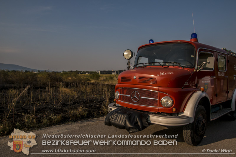 20150809 Flurbraende Kottingbrunn Foto: © Daniel Wirth 20150809 Flurbraende Kottingbrunn Foto: © Daniel Wirth