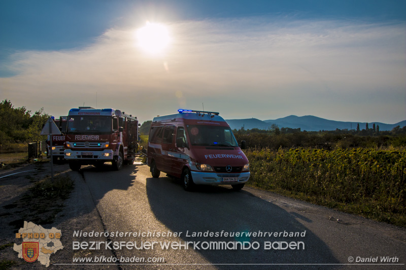 20150809 Flurbraende Kottingbrunn  Foto: © Daniel Wirth