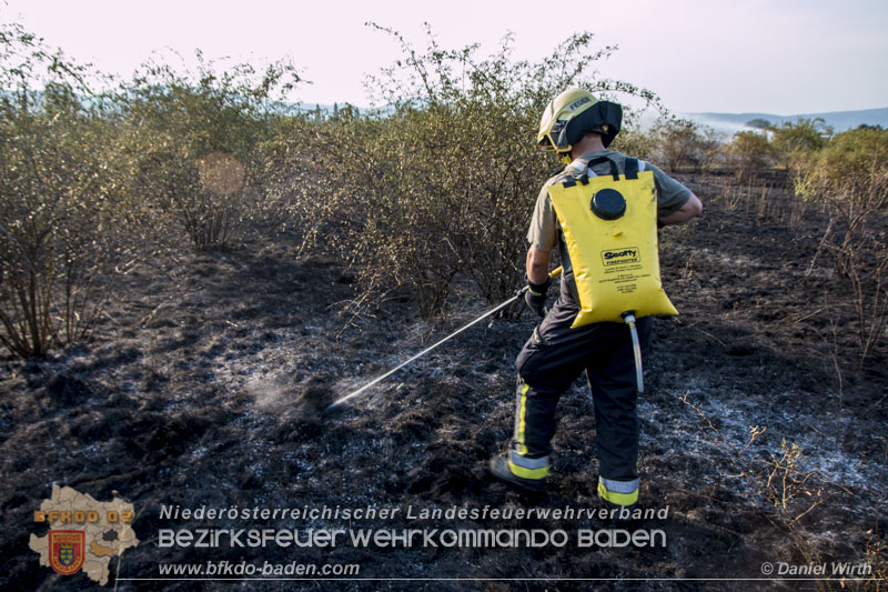20150809 Flurbraende Kottingbrunn Foto: © Daniel Wirth 20150809 Flurbraende Kottingbrunn Foto: © Daniel Wirth