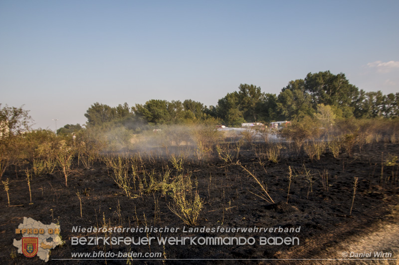 20150809 Flurbraende Kottingbrunn Foto: © Daniel Wirth 20150809 Flurbraende Kottingbrunn Foto: © Daniel Wirth