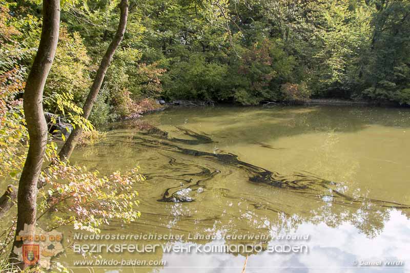 20150923 FZG Bergung Kottingbrunn Foto: © Daniel Wirth 20150923 FZG Bergung Kottingbrunn Foto: © Daniel Wirth