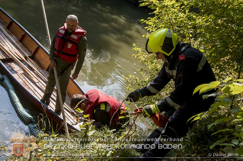 20150923 FZG Bergung Kottingbrunn Foto: © Daniel Wirth 20150923 FZG Bergung Kottingbrunn Foto: © Daniel Wirth