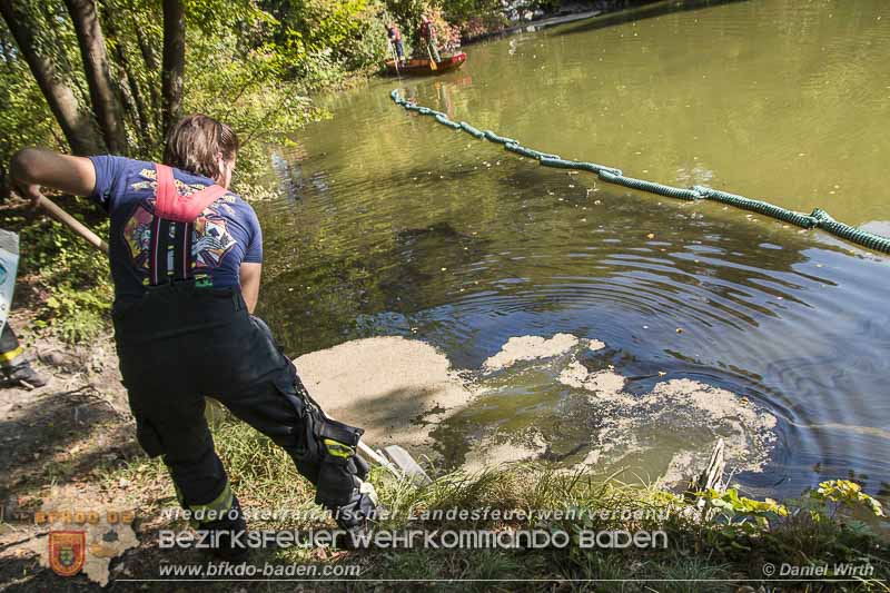 20150923 FZG Bergung Kottingbrunn Foto: © Daniel Wirth 20150923 FZG Bergung Kottingbrunn Foto: © Daniel Wirth