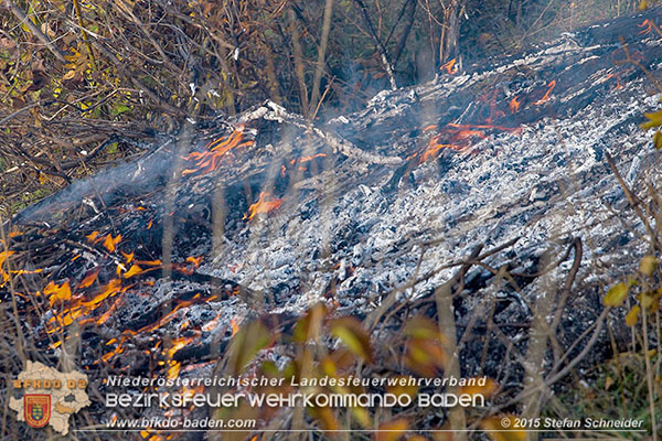 20151028 Bahndammbrand Pfaffstaetten ausgeloest durch Kraehe Foto: © Stefan Schneider 20151028 Bahndammbrand Pfaffstaetten ausgeloest durch Kraehe Foto: © Stefan Schneider