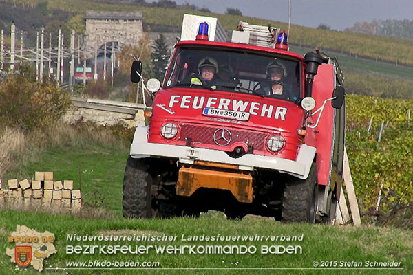 20151028 Bahndammbrand Pfaffstaetten ausgeloest durch Kraehe Foto: © Stefan Schneider 20151028 Bahndammbrand Pfaffstaetten ausgeloest durch Kraehe Foto: © Stefan Schneider