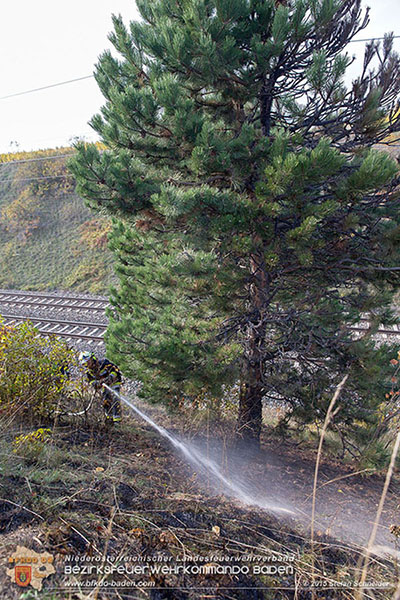 20151028 Bahndammbrand Pfaffstaetten ausgeloest durch Kraehe Foto: © Stefan Schneider 20151028 Bahndammbrand Pfaffstaetten ausgeloest durch Kraehe Foto: © Stefan Schneider