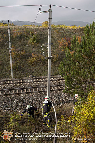20151028 Bahndammbrand Pfaffstaetten ausgeloest durch Kraehe Foto: © Stefan Schneider 20151028 Bahndammbrand Pfaffstaetten ausgeloest durch Kraehe Foto: © Stefan Schneider
