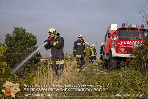 20151028 Bahndammbrand Pfaffstaetten ausgeloest durch Kraehe Foto: © Stefan Schneider 20151028 Bahndammbrand Pfaffstaetten ausgeloest durch Kraehe Foto: © Stefan Schneider