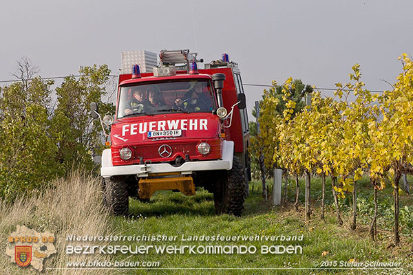 20151028 Bahndammbrand Pfaffstaetten ausgeloest durch Kraehe Foto: © Stefan Schneider 20151028 Bahndammbrand Pfaffstaetten ausgeloest durch Kraehe Foto: © Stefan Schneider